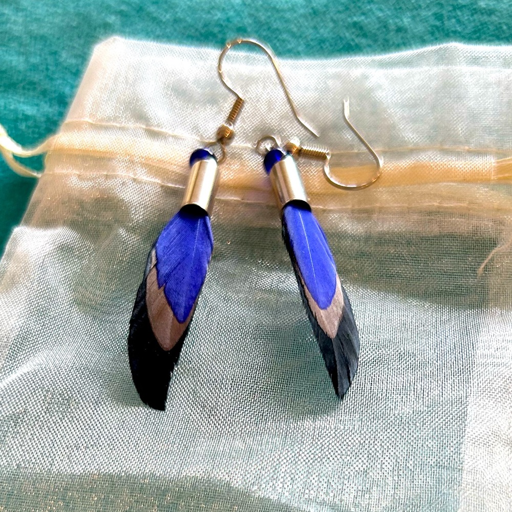 🪽HP🪽Feather Earrings - Purple/Blue, Gray, Black